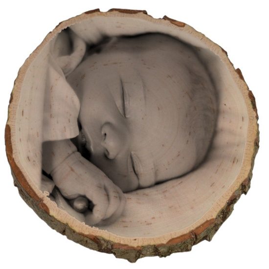 Boomschijf met foto,foto op hout,houtprint,fotoblokken,landelijke woondecoratie, rustieke woondecoratie,bijzonder persoonlijk kado!