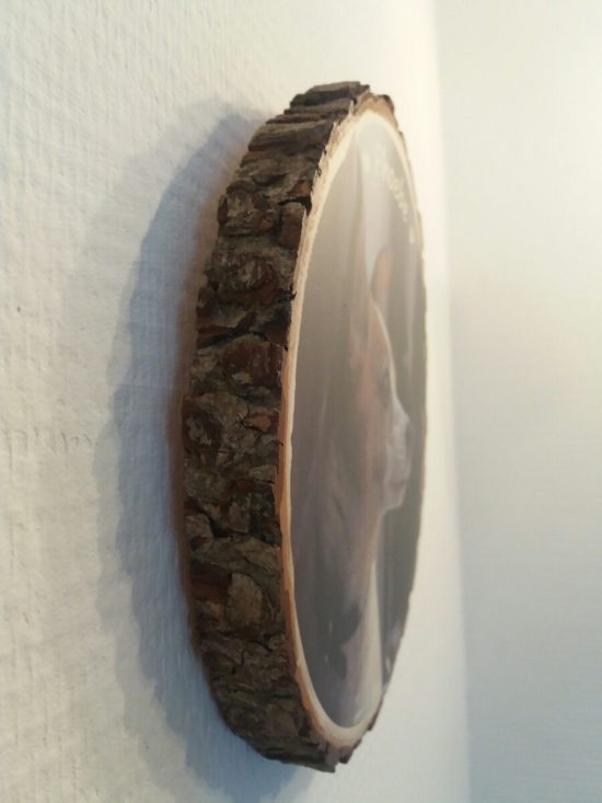 boomschijf lettertypen -Boomschijf met naam - Family sign Boomschijf met naam - Tekst op boomschijf - Tekst op hout - landelijke woondecoratie -  Wood Slice Sign - woodslice family sign - woodslice with photo